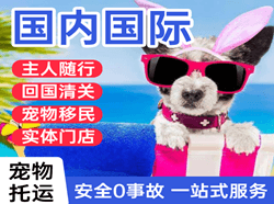阿勒泰雪都空运地址国际宠物托运 【国